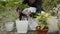 Crop view of adult woman transplanting potted plants