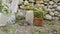 Crop view of adult woman transplanting potted plants