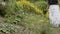 Crop view of adult woman walking in the meadow