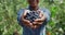 Crop view of afro american female farmer holding fistful of blueberries while standing in greenhouse. Person reaching