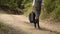 Crop view of atractive young universitarian woman with backpack walking in the woods,park