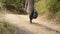 Crop view of atractive young universitarian woman with backpack walking in the woods,park