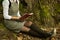 Crop view of atractive young universitarian woman with red book