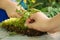 Crop view of child hands playing with green moss and wild flowers