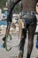Crop view of scuba diver adult man on a seashore with spearfishing gear