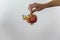 Crop view of woman hand holding a ripe pomegranate, white background