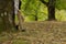 Crop view of young adult woman with autumn casual outfit in the park