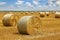 Crop wheat rolls of straw in a field