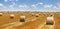 Crop wheat rolls of straw in a field after wheat harvested in agriculture farm