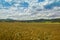 Cropfield with Forested Mountain