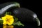 Cropped courgettes with flowers on black background