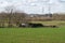 Cropped fields and farmhouses at the Flemish countryside around Ternat, Belgium