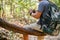 Cropped image of an Asian male trekker sits on a wooden vine, resting while trekking