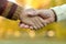 Cropped image. Boy and grandfather hands over natural background