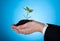 Cropped Image Of Businessman Holding Sapling