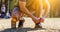 Cropped image of caucasian young sportsman kneeling on road and tying shoelaces