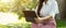 Cropped image of an Elegant female sitting in a park holding a portable tablet