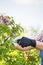 Cropped image of gardener pruning branches at plant nursery