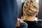 Cropped Image Of Hairdresser Braiding Client\'s Hair