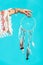 Cropped image of hippie girl holding dreamcatcher in a hand