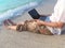 Cropped image of relaxed young Asian man with laptop sitting on sand of tropical beach in vacations day.