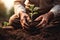 Cropped image of senior African American man planting a tree in the fertile soil, Farmer hands planting seeds in soil. Gardening