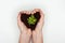 cropped image of woman holding heart shaped soil with succulent in hands