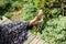 cropped image of woman sitting on wooden footbridge