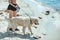 cropped image of woman walking golden retriever