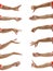 Cropped of multiple female hand gesture against white background