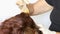 Cropped photo of hairdresser wearing white gloves, applying orange hair dye on roots of brown hair at back of head.