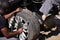 Cropped photo of legs and hands of auto mechnic repairing car wheel