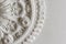 Cropped photograph of a Victorian ceiling rose