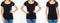 Cropped portrait,set front views three women in black t-shirt, woman in tshirt isolated, blank