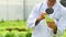 Cropped shot of agricultural researcher with magnifying glass observing organic vegetable in greenhouse