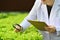 Cropped shot of agricultural researcher observing organic vegetable with magnifying glass in industrial greenhouse