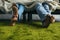 cropped shot of barefoot african american couple in pajamas spending time together