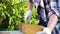 Cropped shot of crafts woman scratching old wooden plank and blows off dust