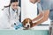 cropped shot of man holding beagle while female veterinarian bandaging paw