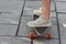 cropped shot of man standing on longboard on street