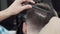 Cropped shot of a professional barber cutting hair of a man
