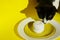 Cropped Shot Of A Tuxedo Cat And Food Ingredient Over Bright Yellow Background. Fanny Animals, Pets, Cats Concept.Cat And Plate.