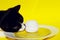 Cropped Shot Of A Tuxedo Cat And Food Ingredient Over Bright Yellow Background. Fanny Animals, Pets, Cats Concept.Cat And Plate.