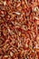Cropped shot of uncoocked red rice background. Vertical image of rice.