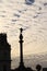 Cropped silhouette against the sky of the statue of Columbus in the city of Barcelona  Cloudy sunset in winter in the city of Bar