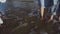 Cropped view of family legs standing barefoot in sea on beach.Summer family holidays, vacation concept