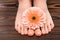 cropped view of female feet with natural pedicure and gerbera