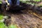 Cropped view of mini loader in foundation pit with ground in its bucket