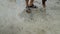 Cropped view of a person wearing umbrella hat raking clams on the sand in Koh Phangan, Thailand. High angle shot