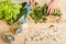 Cropped view of unrecognizable womans cooking healthy diet food